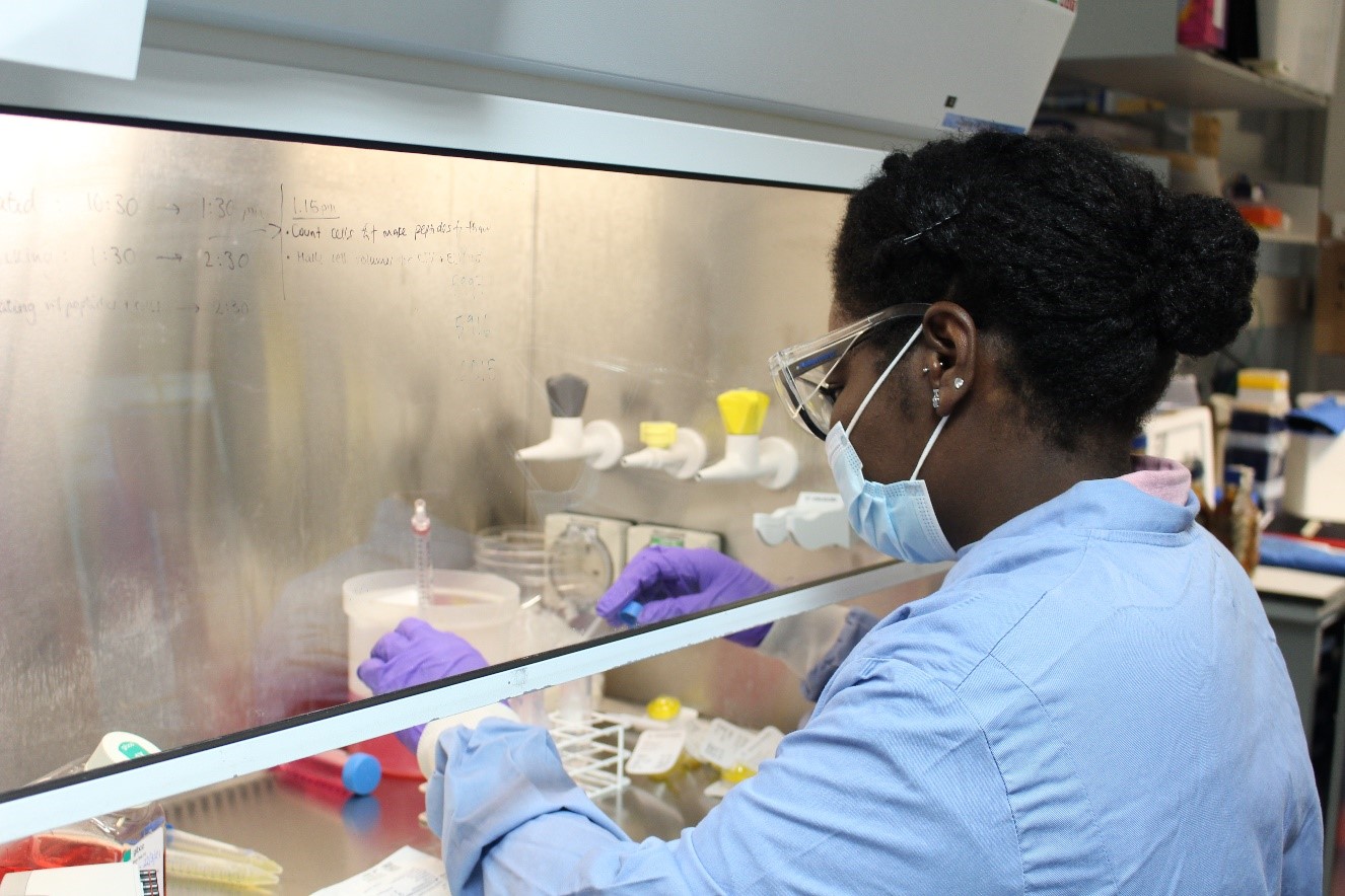 Researcher working in lab